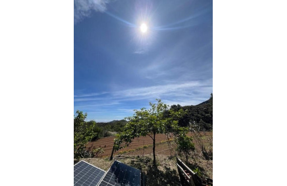 Fincas y solares - Venta - Vega de San Mateo - Calle Casa la Cal