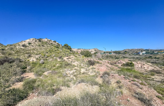  - For Sale - Elche - Ferriol