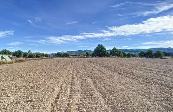  - For Sale - Ibi - Poligono Ind. L`Alfaç II