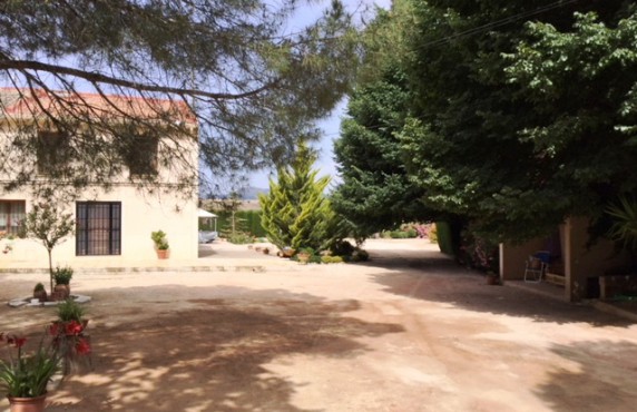  - For Sale - Pinoso - Pinoso