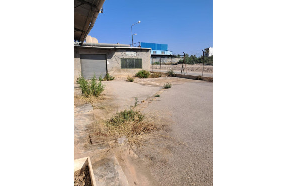 Industrial unit - Venta - Elche pedanias - Algoros