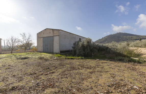 Naves - Venta - Albolote - de Lanjarón