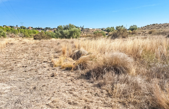 Parcela - Venta - Elche - La galia
