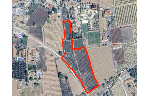 Parcela - Venta - Elche - Matola