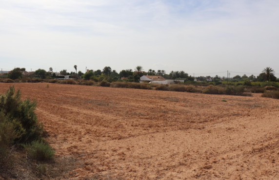 Parcela - Venta - Elche pedanias - balsares