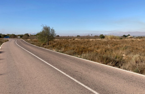 Parcela - Venta - Elche pedanias - LA MARINA