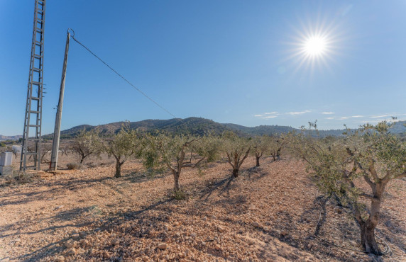Parcela - Venta - Hondon de las Nieves - Comunidad valenciana