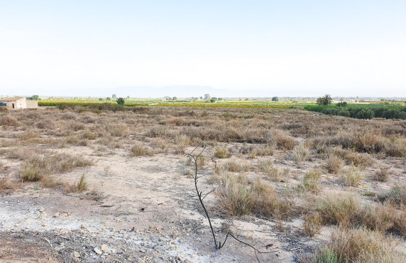 Parcela - Venta - La marina - Molar
