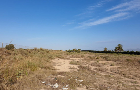 Plot - For Sale - La marina - Molar