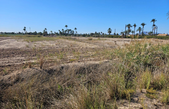 Plot - Venta - La hoya - La Hoya-Daimes-El Derramador