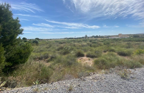 Terreno rural - For Sale - Elche - LOS BALSARES