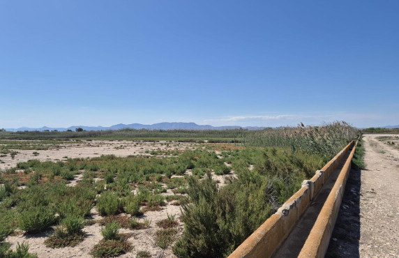 Terreno rural - Venta - La hoya - La Hoya-Daimes-El Derramador