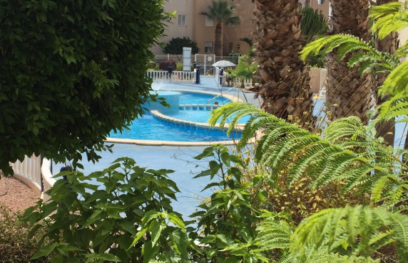  -  - Torrevieja - Torrevieja