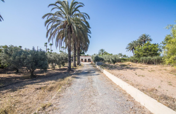 villa - For Sale - Elche - Elche / Elx