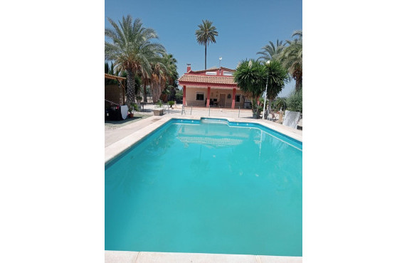 villa - For Sale - Elche pedanias - Algoda