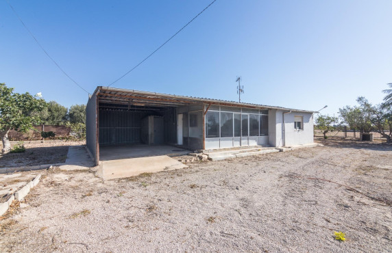villa - Venta - Elche pedanias - MLS-81531