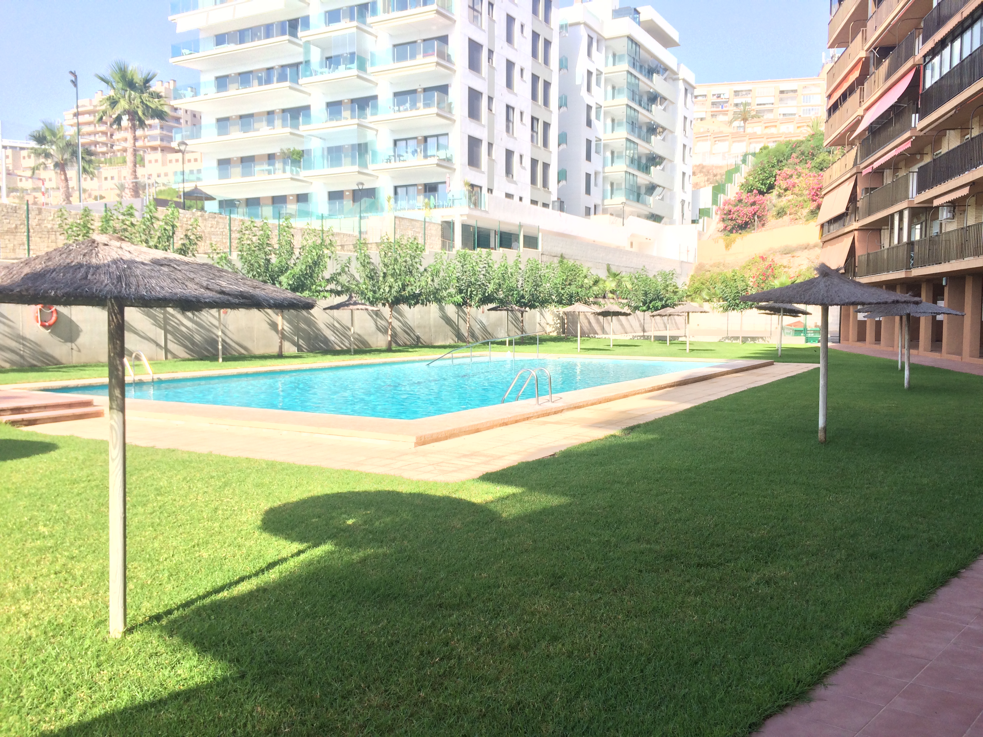 Pisos-Alquiler-Arenales del Sol-1004040