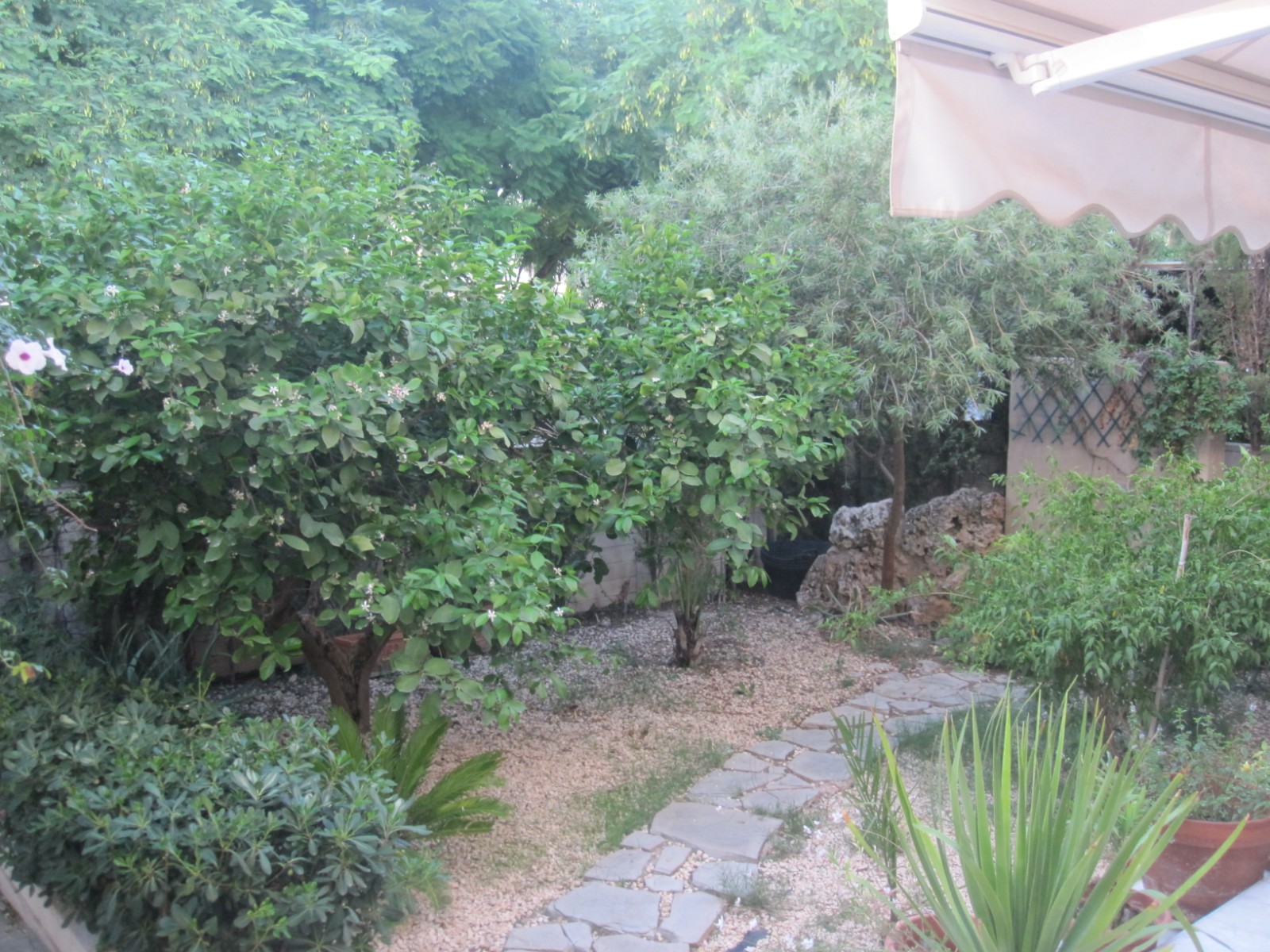 Casas o chalets-Venta-Elche-1004129-Foto-26