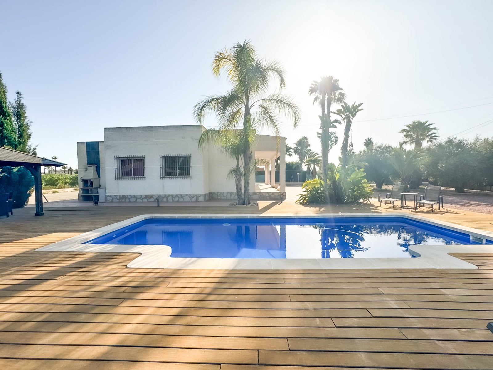 Casas o chalets-Venta-Elche-1461288-Foto-18