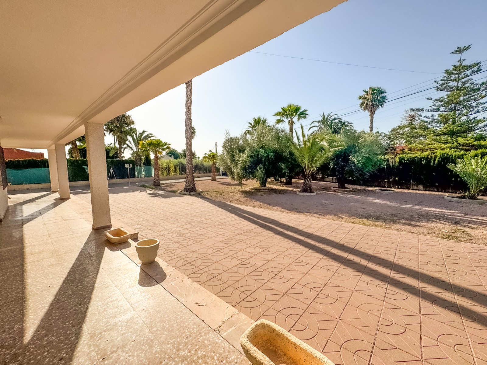 Casas o chalets-Venta-Elche-1461288-Foto-19