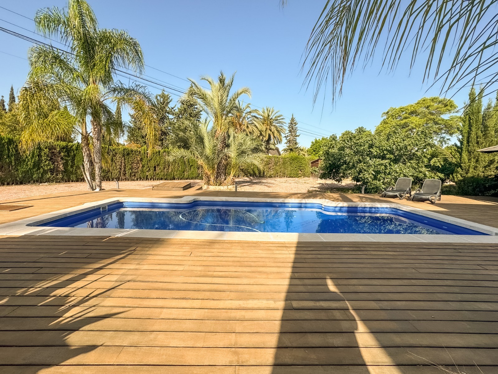 Casas o chalets-Venta-Elche-1461288-Foto-14