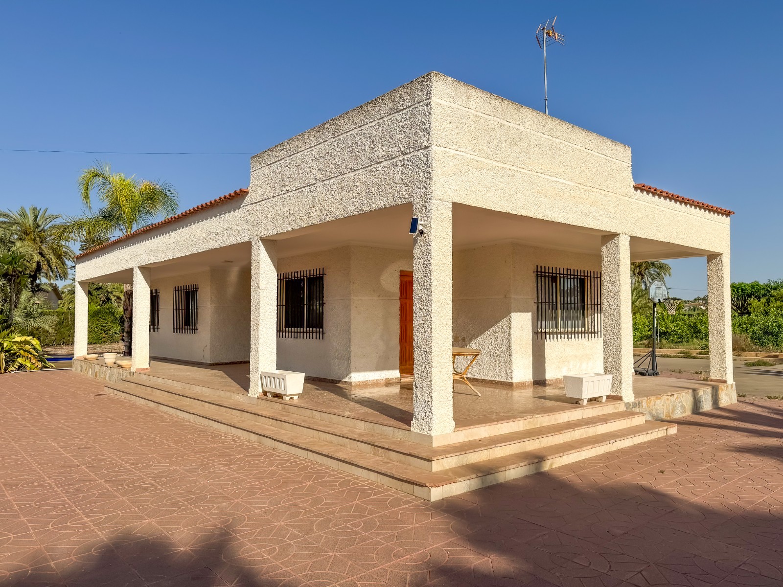 Casas o chalets-Venta-Elche-1461288-Foto-3