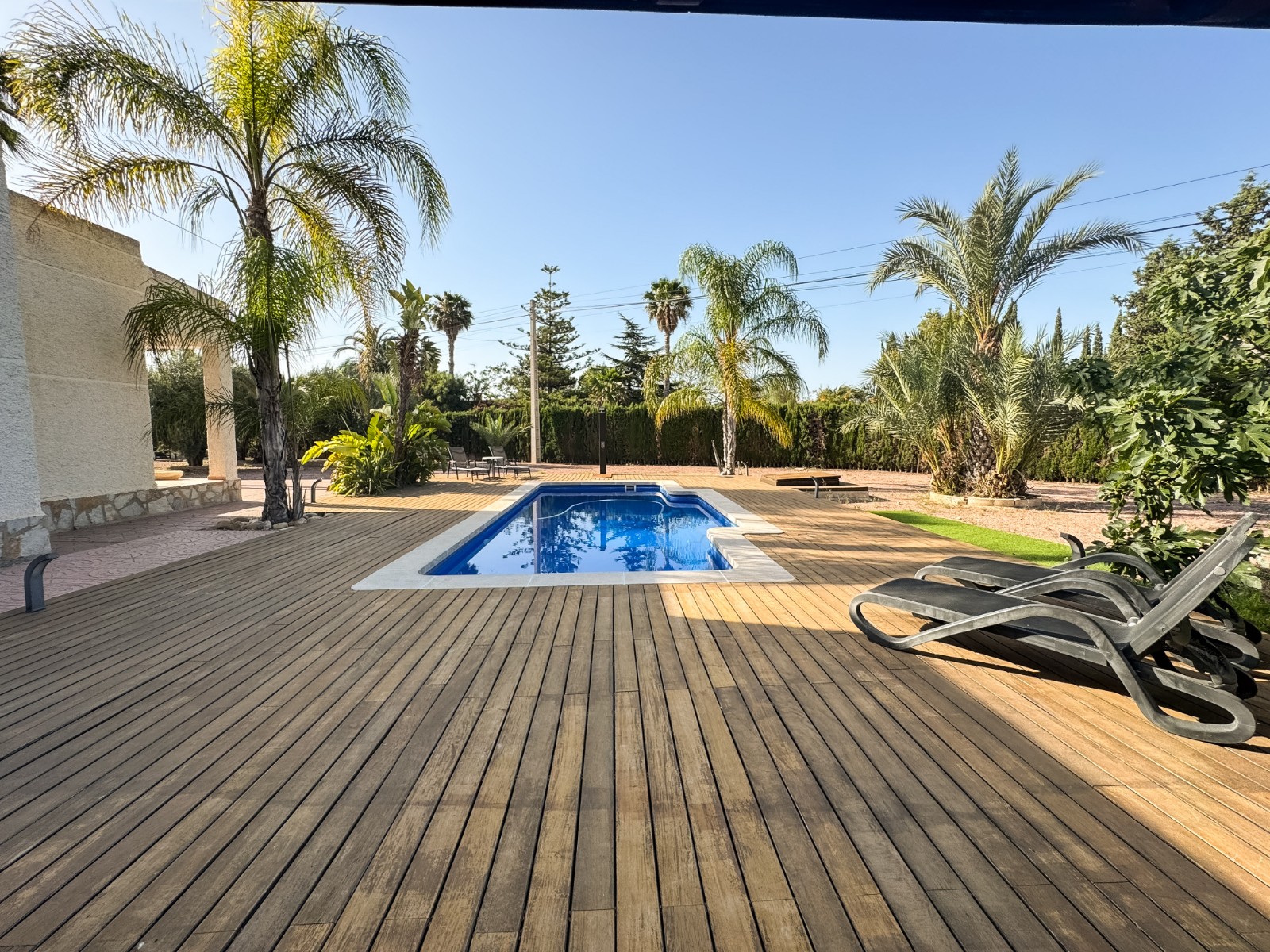 Casas o chalets-Venta-Elche-1461288-Foto-16