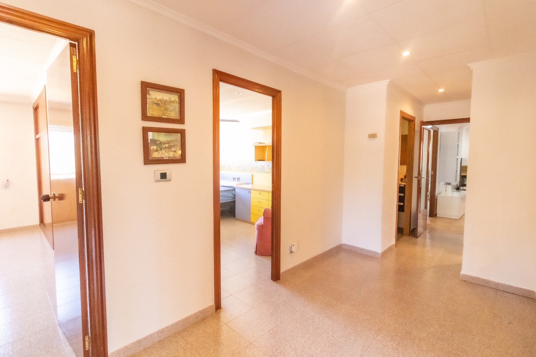 Casas o chalets-Venta-Elche-1461288-Foto-47