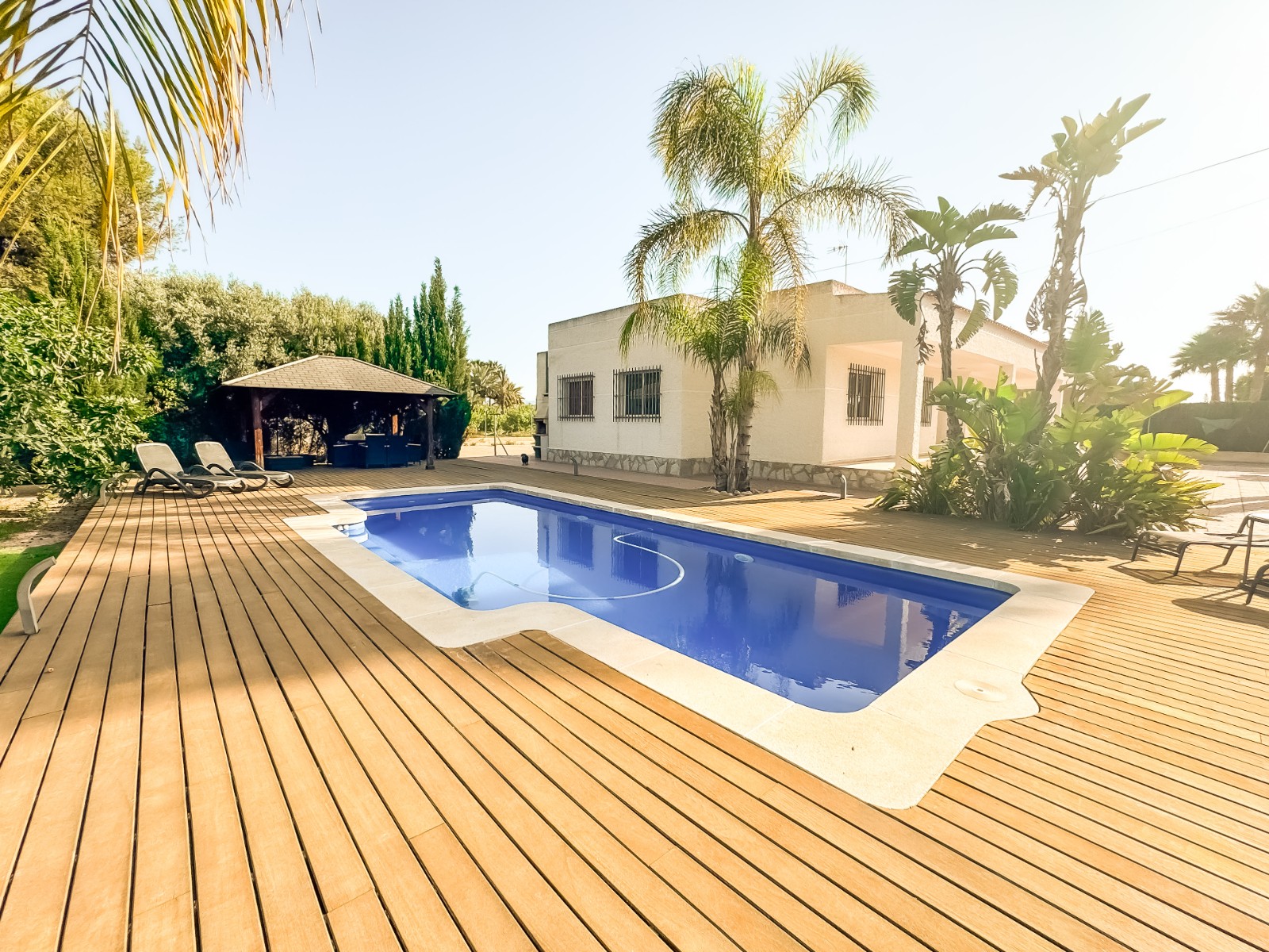 Casas o chalets-Venta-Elche-1461288