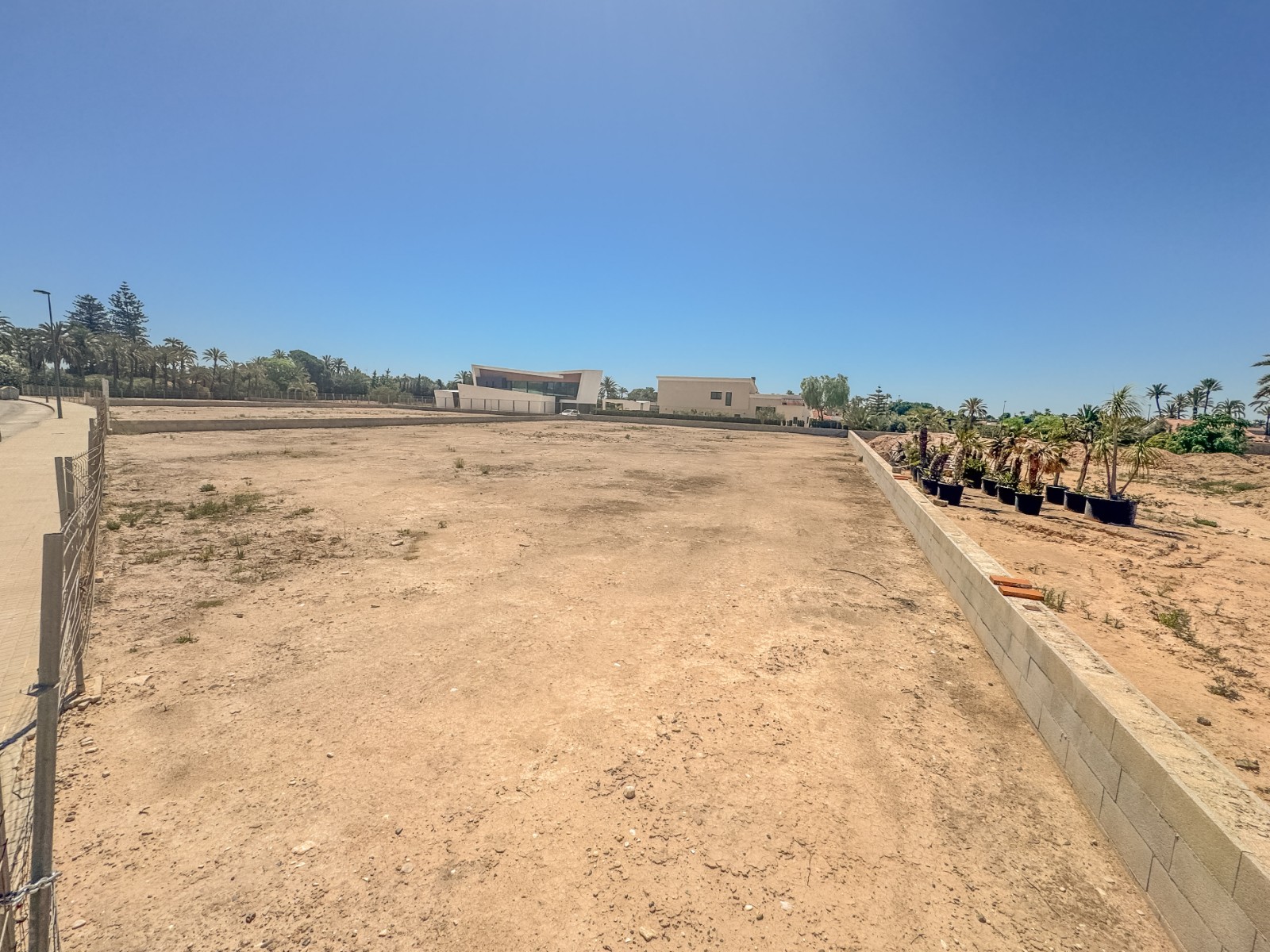 Fincas y solares-Venta-Elche-1731538-Foto-6