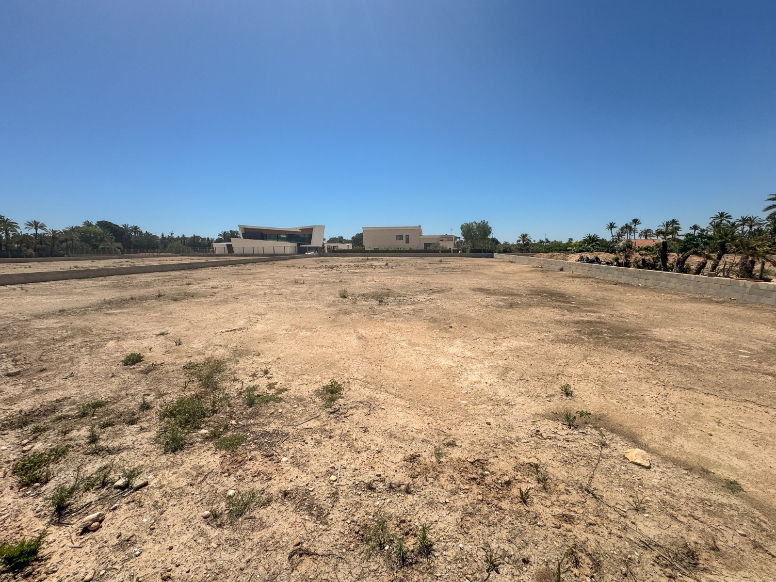 Fincas y solares-Venta-Elche-1731538-Foto-7