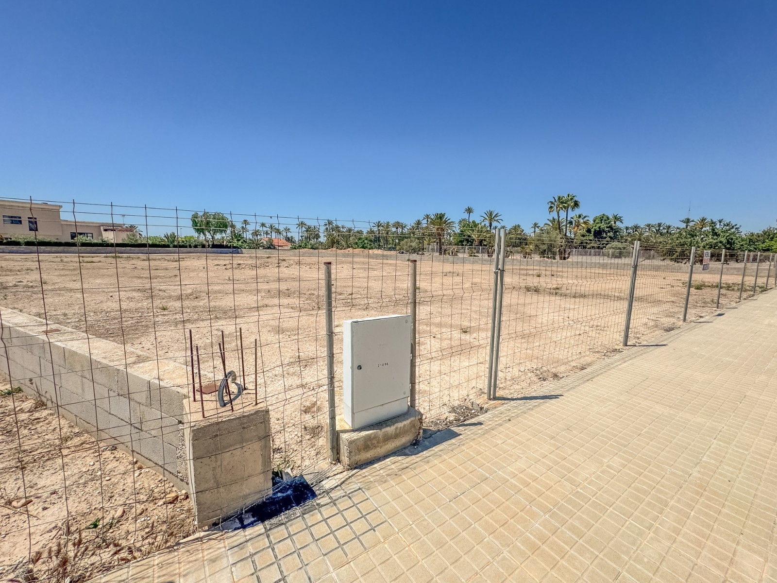 Fincas y solares-Venta-Elche-1731538-Foto-4