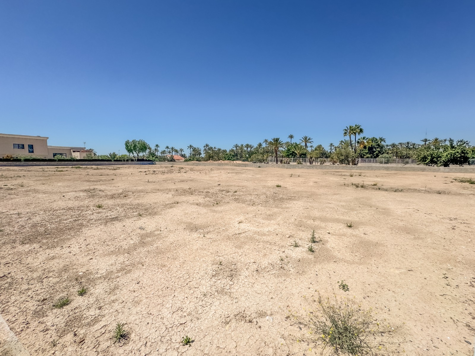 Fincas y solares-Venta-Elche-1731538-Foto-3