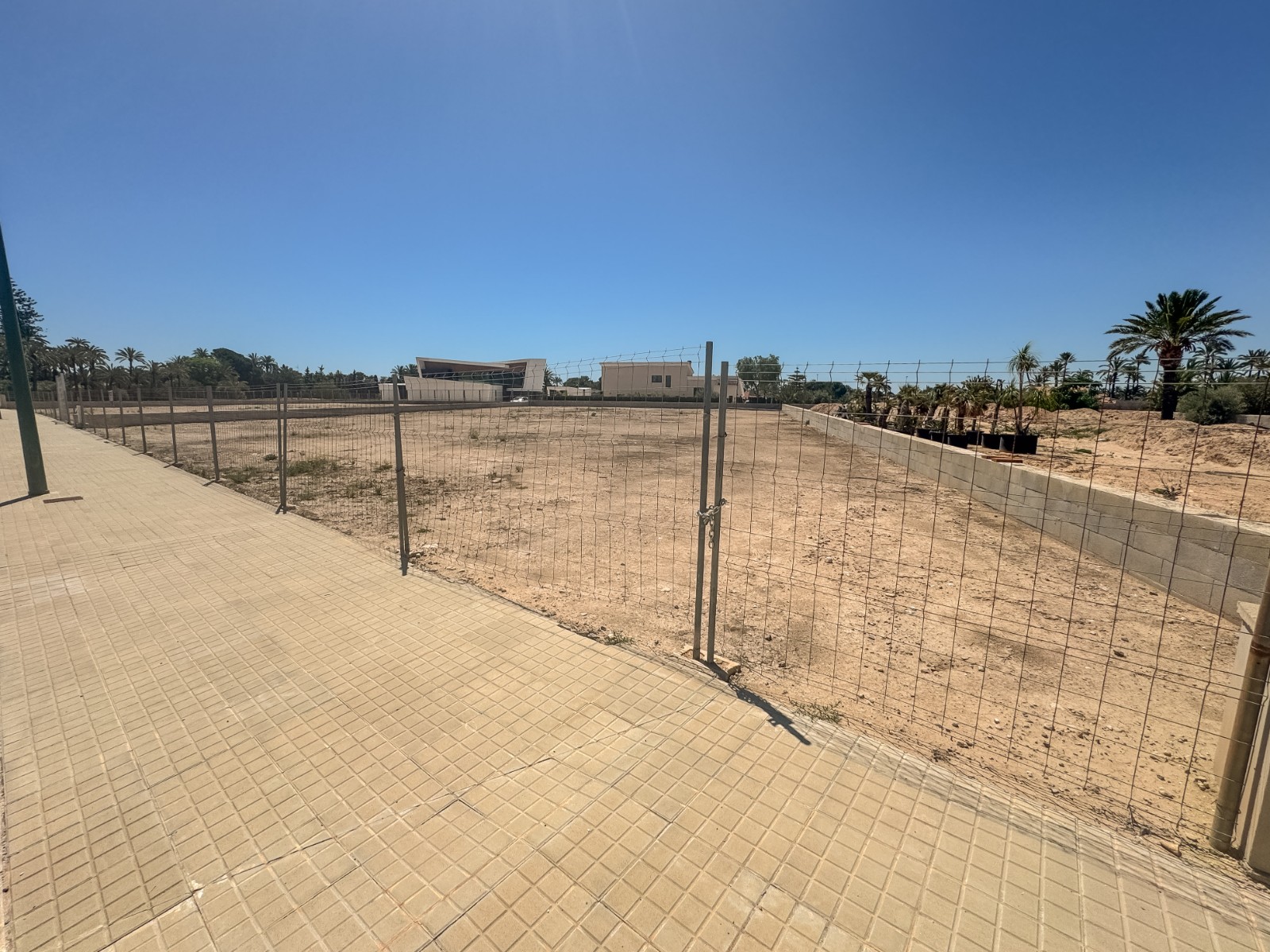 Fincas y solares-Venta-Elche-1731538-Foto-5