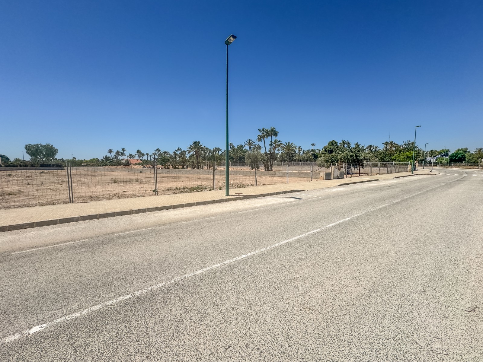Fincas y solares-Venta-Elche-1731538-Foto-9