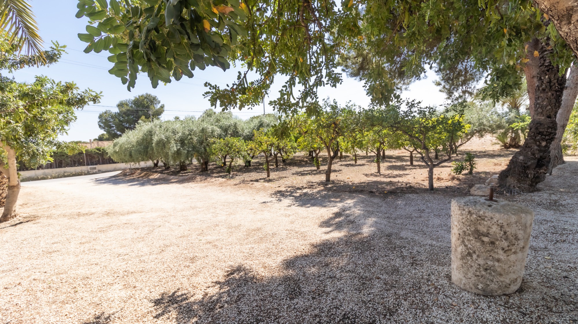 Casas o chalets-Venta-Elche-1746224-Foto-41