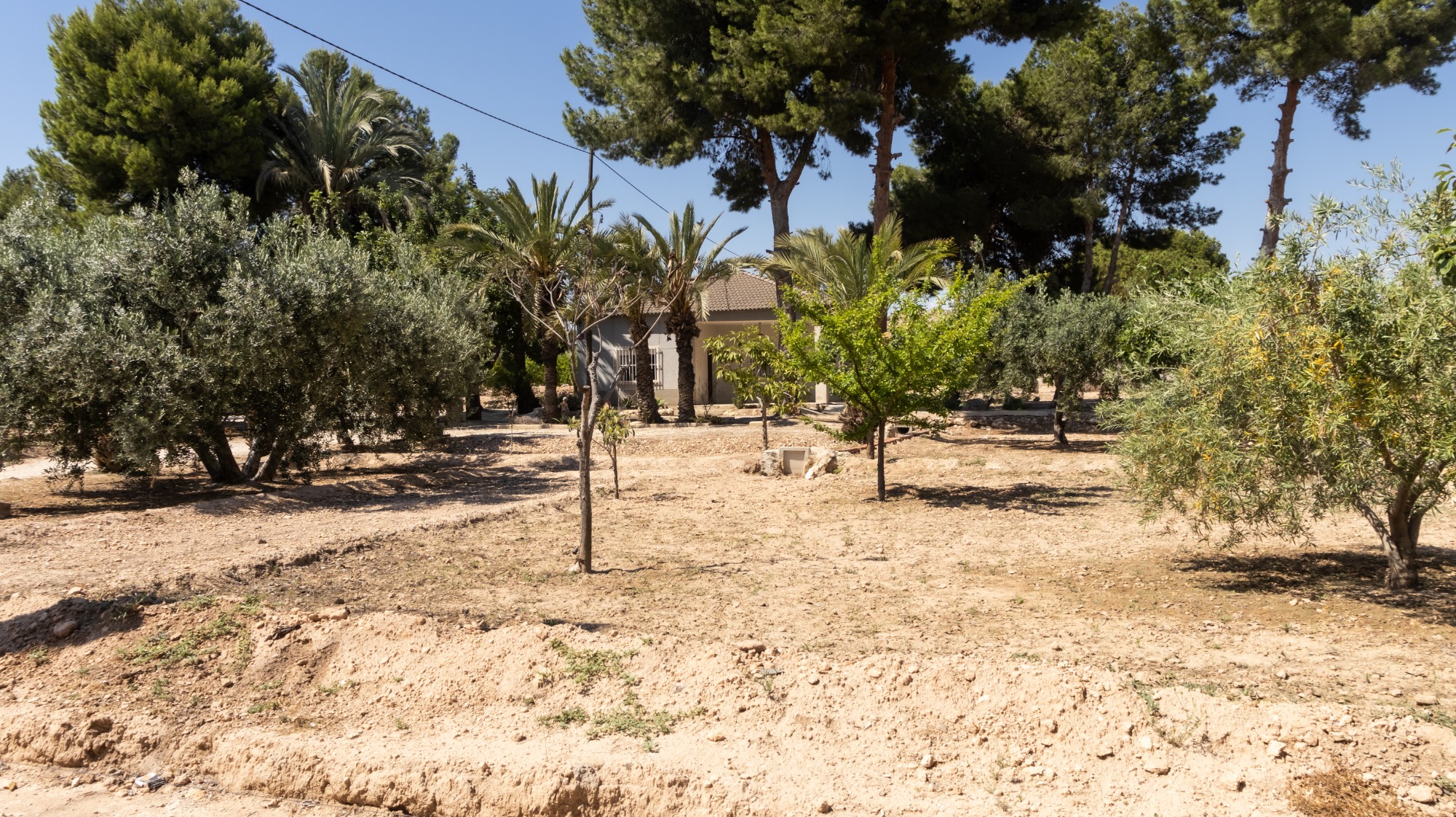 Casas o chalets-Venta-Elche-1746224-Foto-32