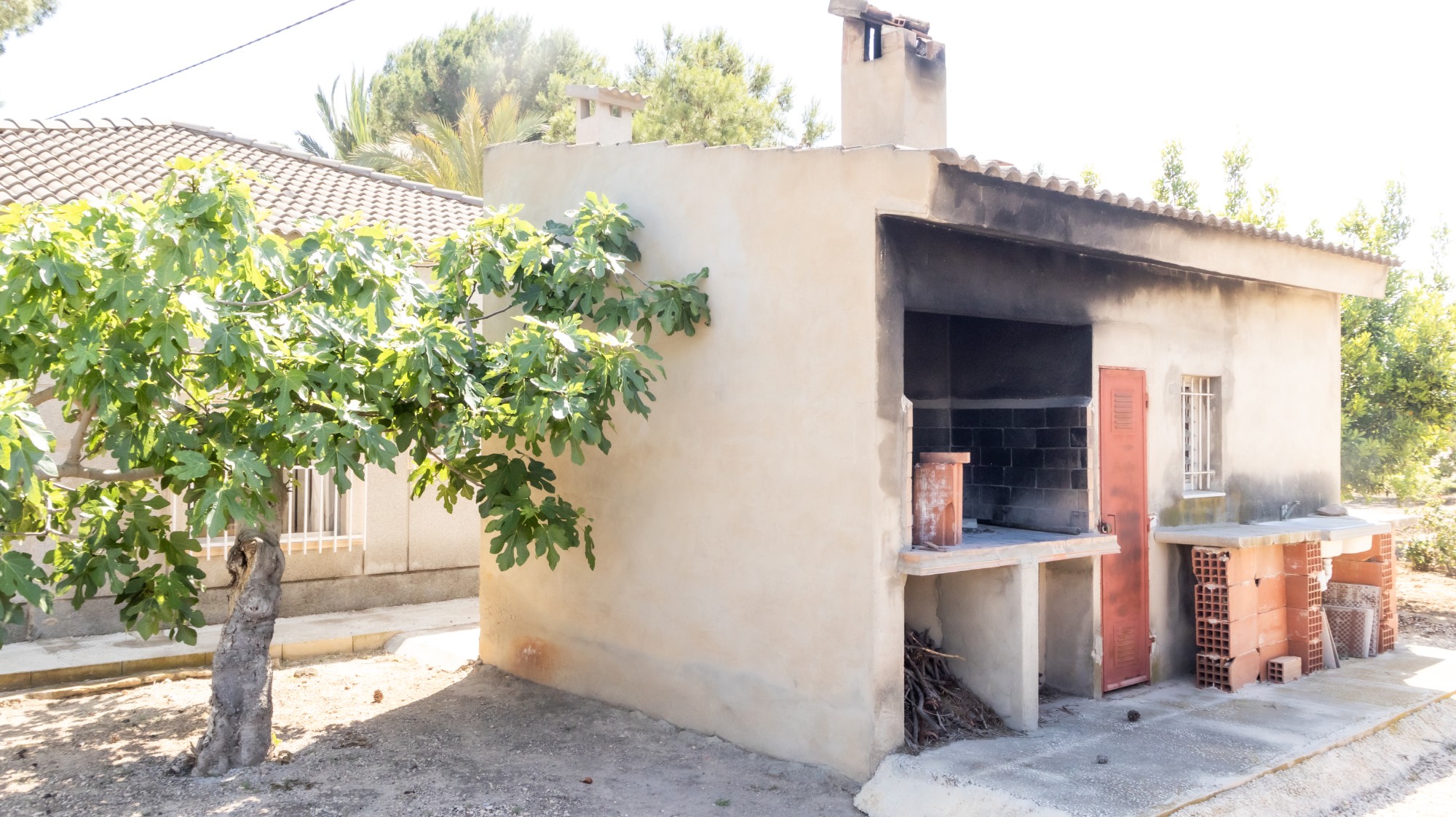 Casas o chalets-Venta-Elche-1746224-Foto-11
