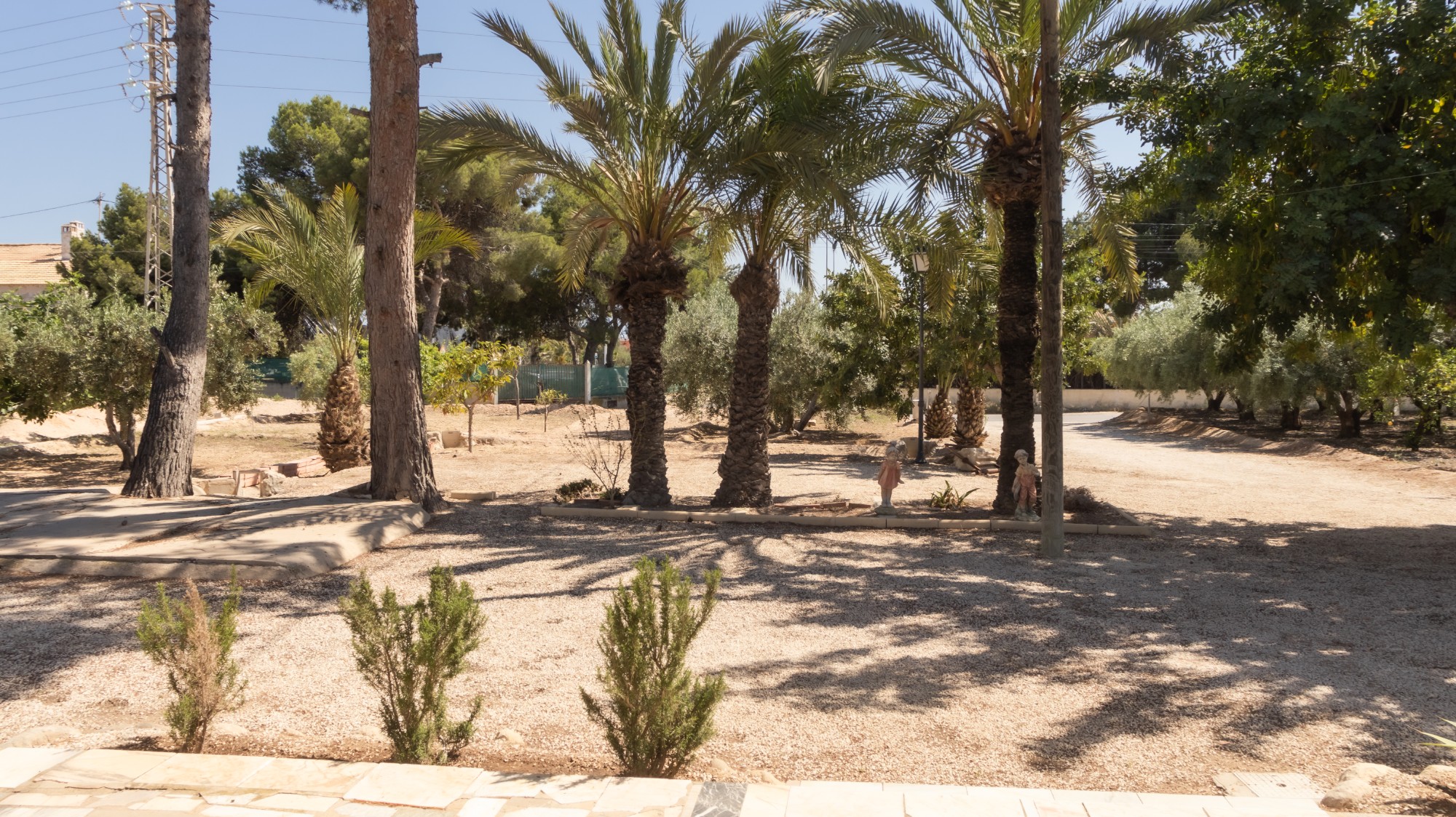 Casas o chalets-Venta-Elche-1746224-Foto-40