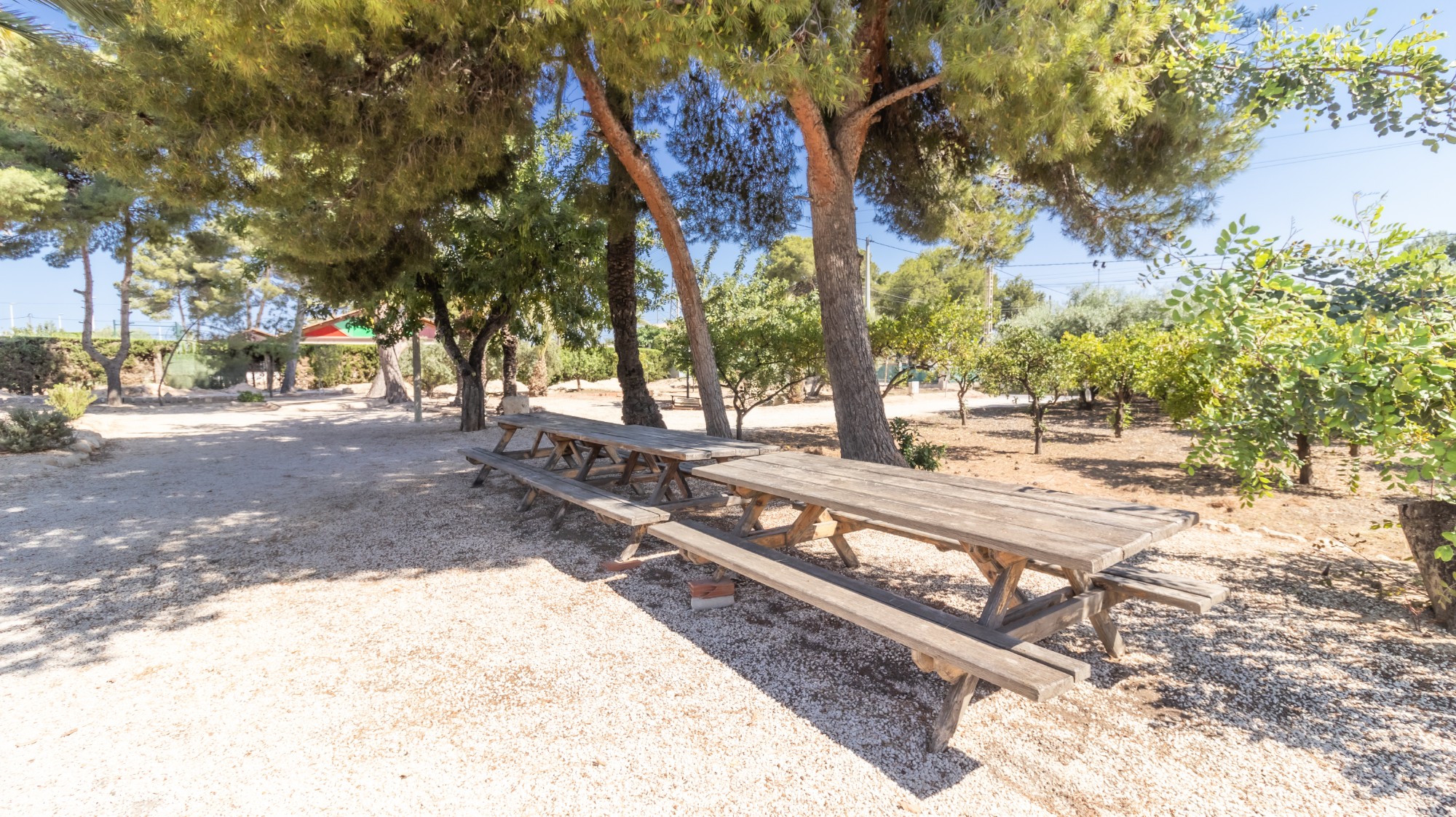 Casas o chalets-Venta-Elche-1746224-Foto-31