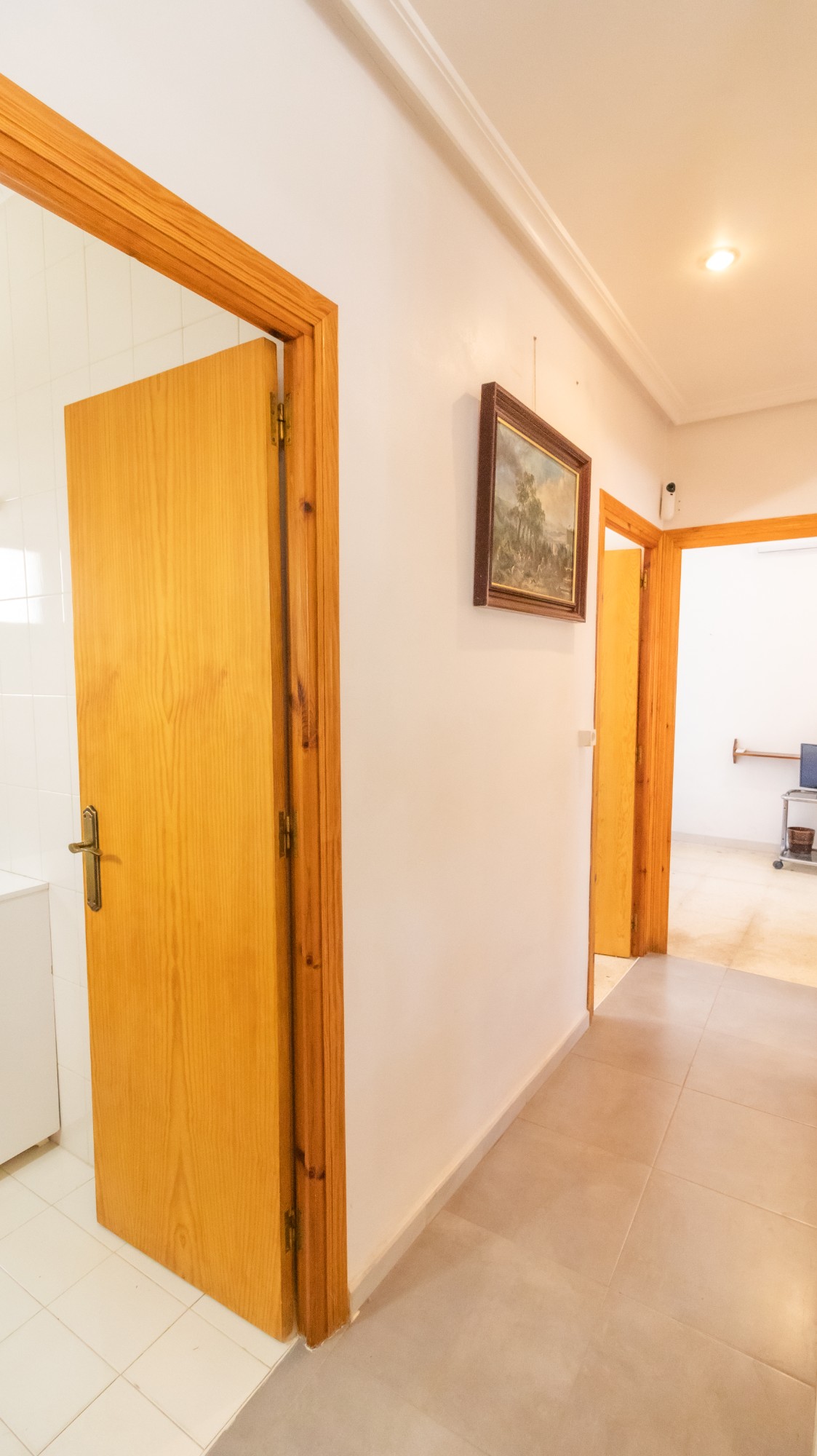 Casas o chalets-Venta-Elche-1746224-Foto-21