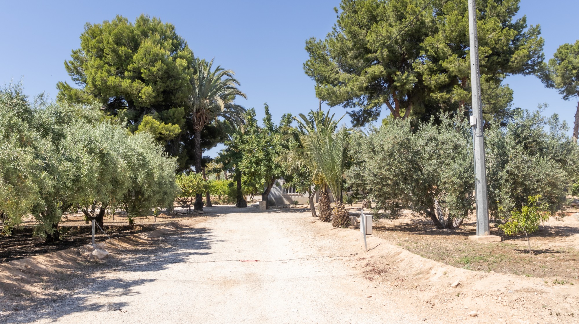 Casas o chalets-Venta-Elche-1746224-Foto-33