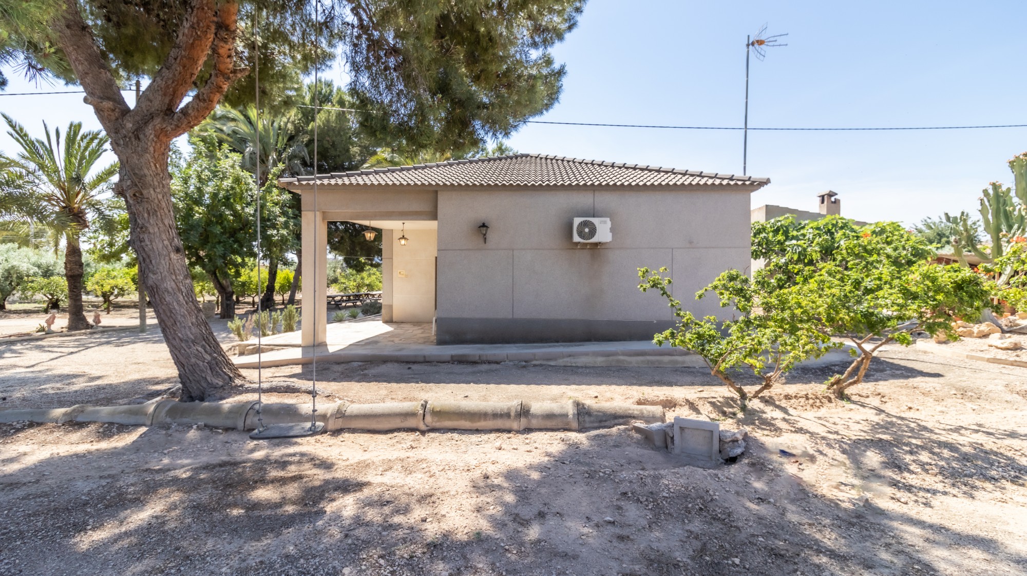 Casas o chalets-Venta-Elche-1746224-Foto-5