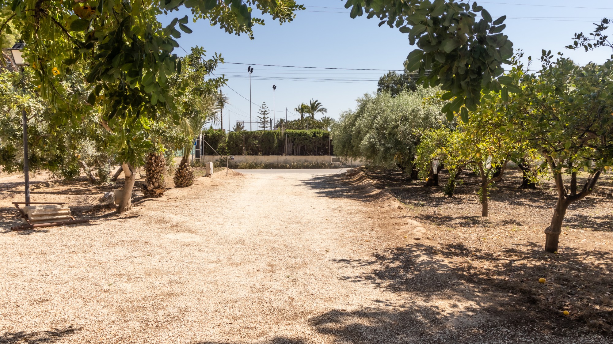 Casas o chalets-Venta-Elche-1746224-Foto-38
