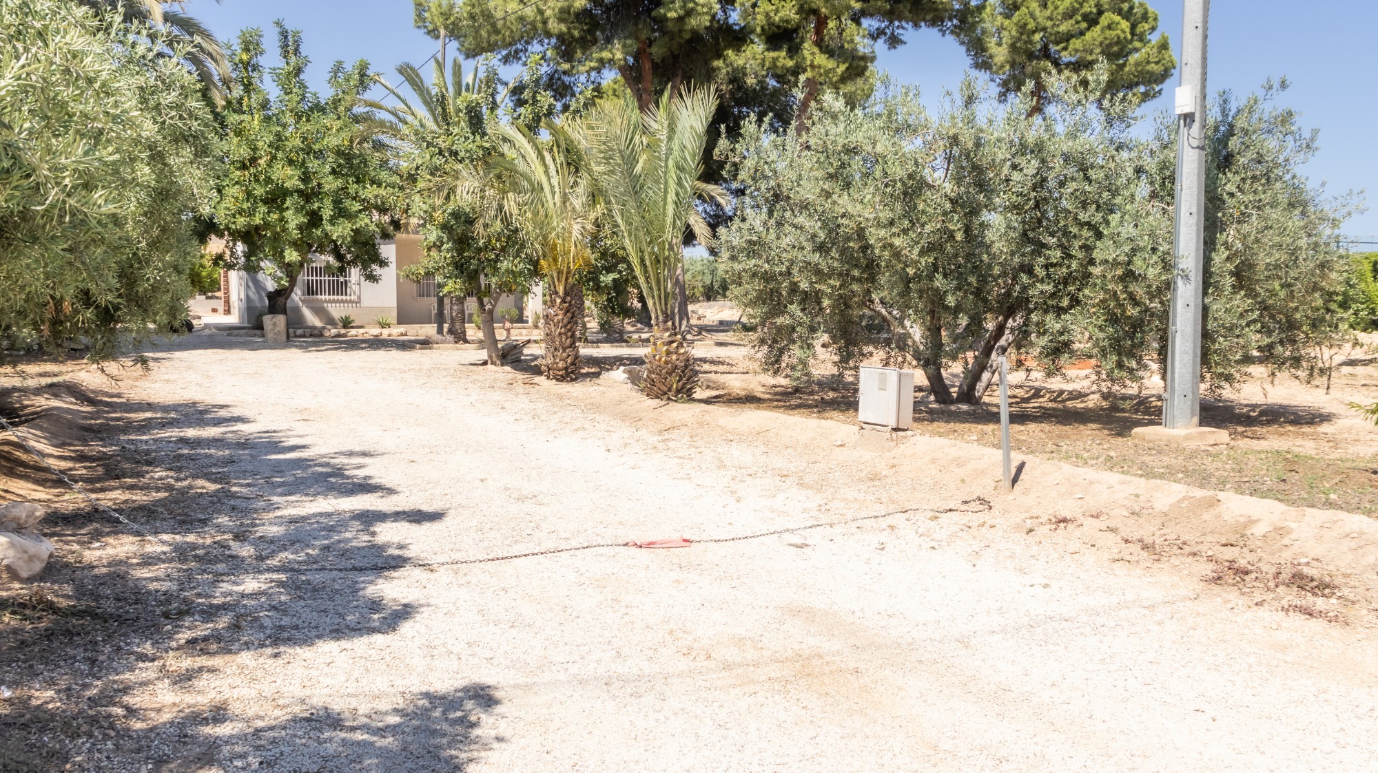 Casas o chalets-Venta-Elche-1746224-Foto-34