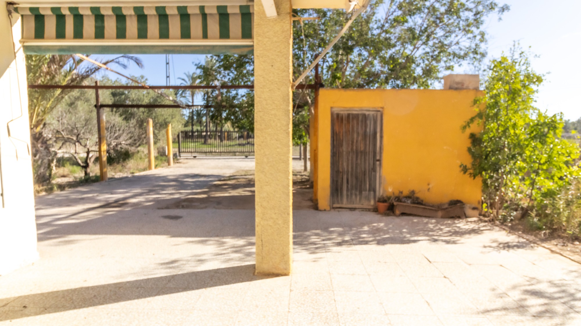 Casas o chalets-Venta-Elche-1970224-Foto-9