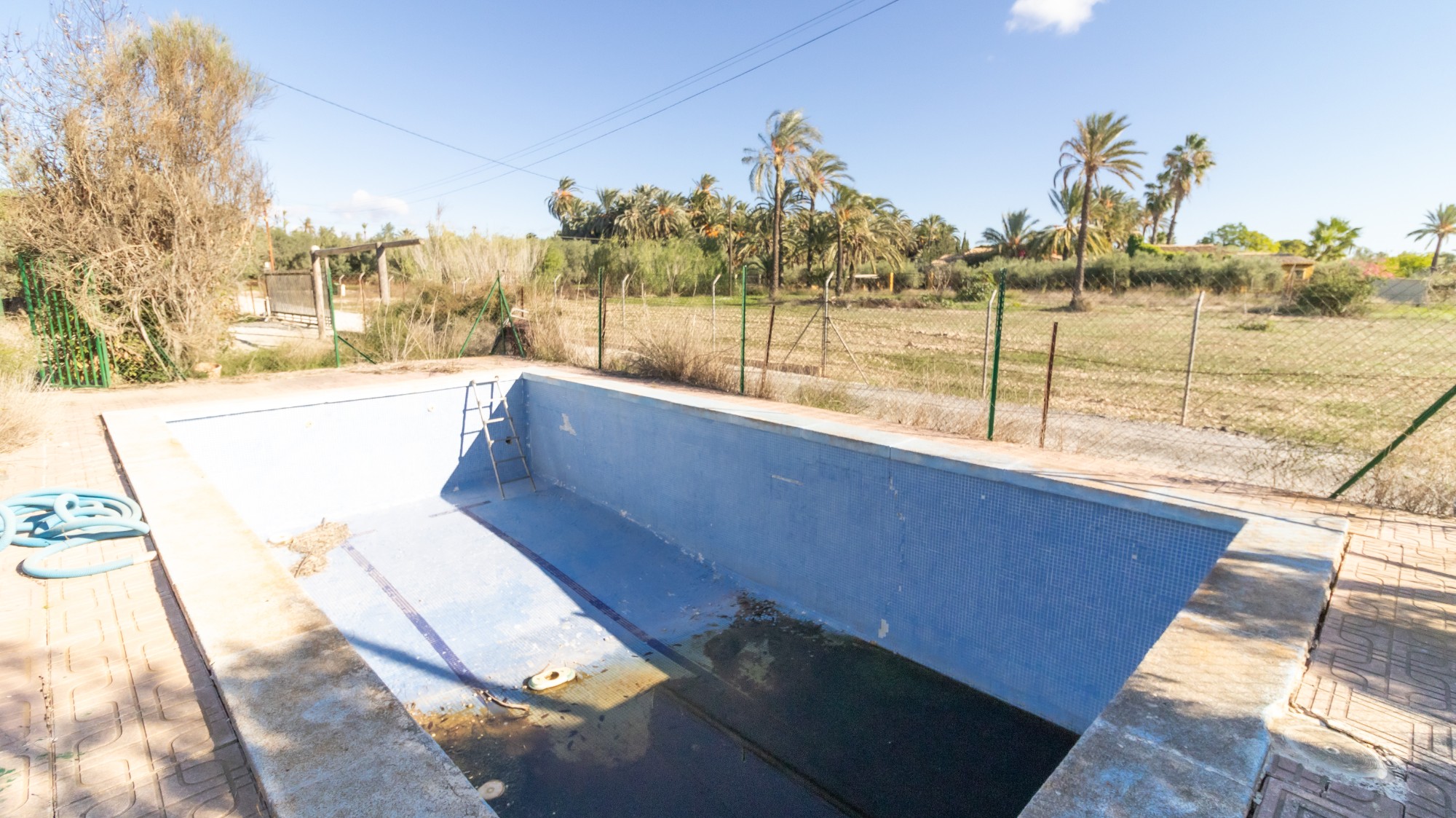 Casas o chalets-Venta-Elche-1970224-Foto-4