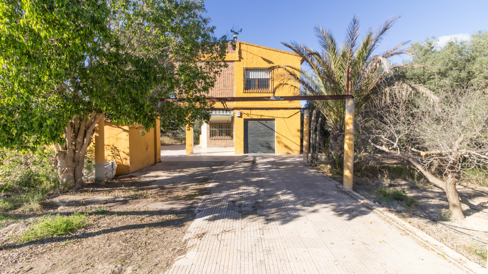 Casas o chalets-Venta-Elche-1970224