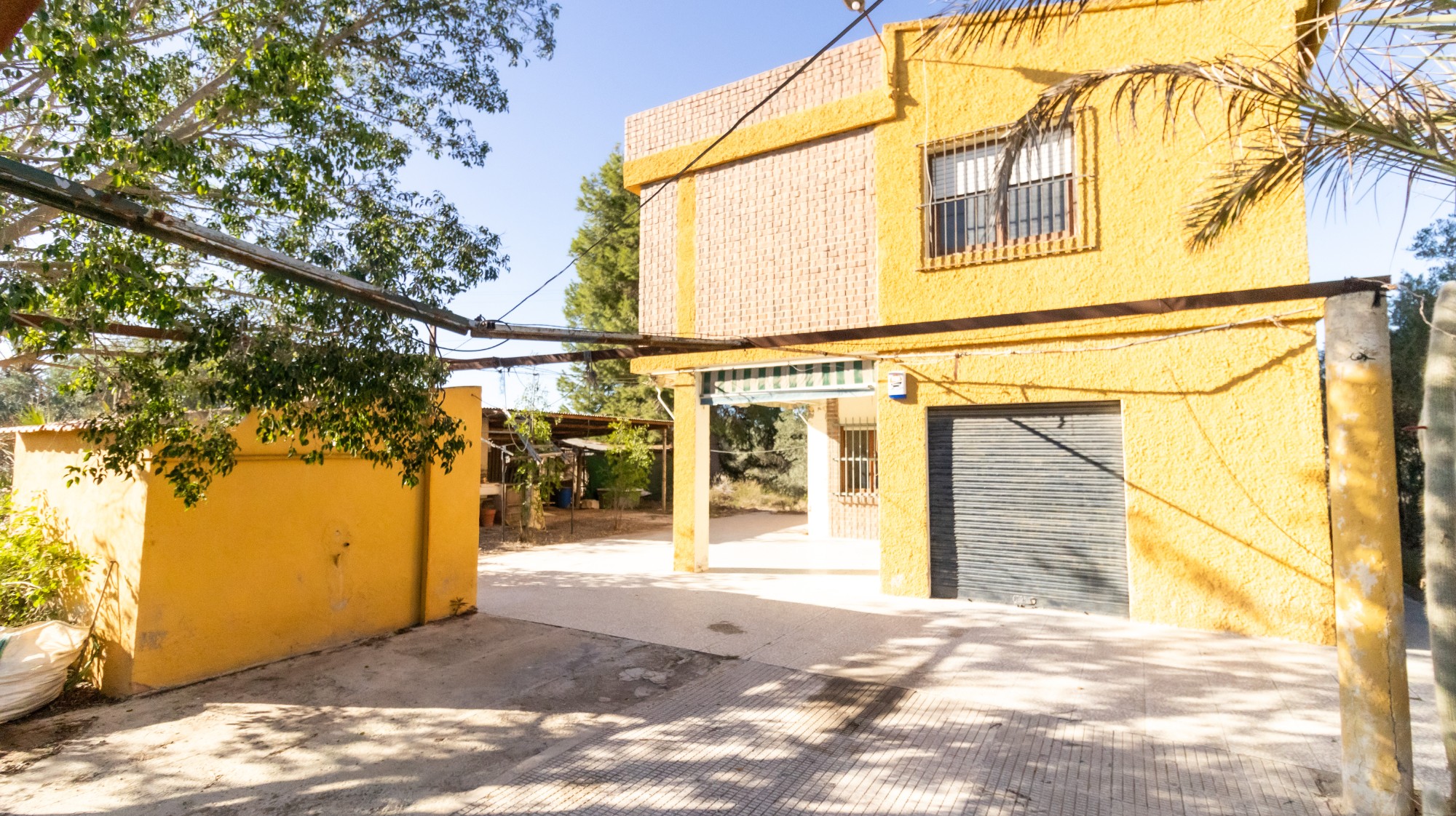 Casas o chalets-Venta-Elche-1970224-Foto-5