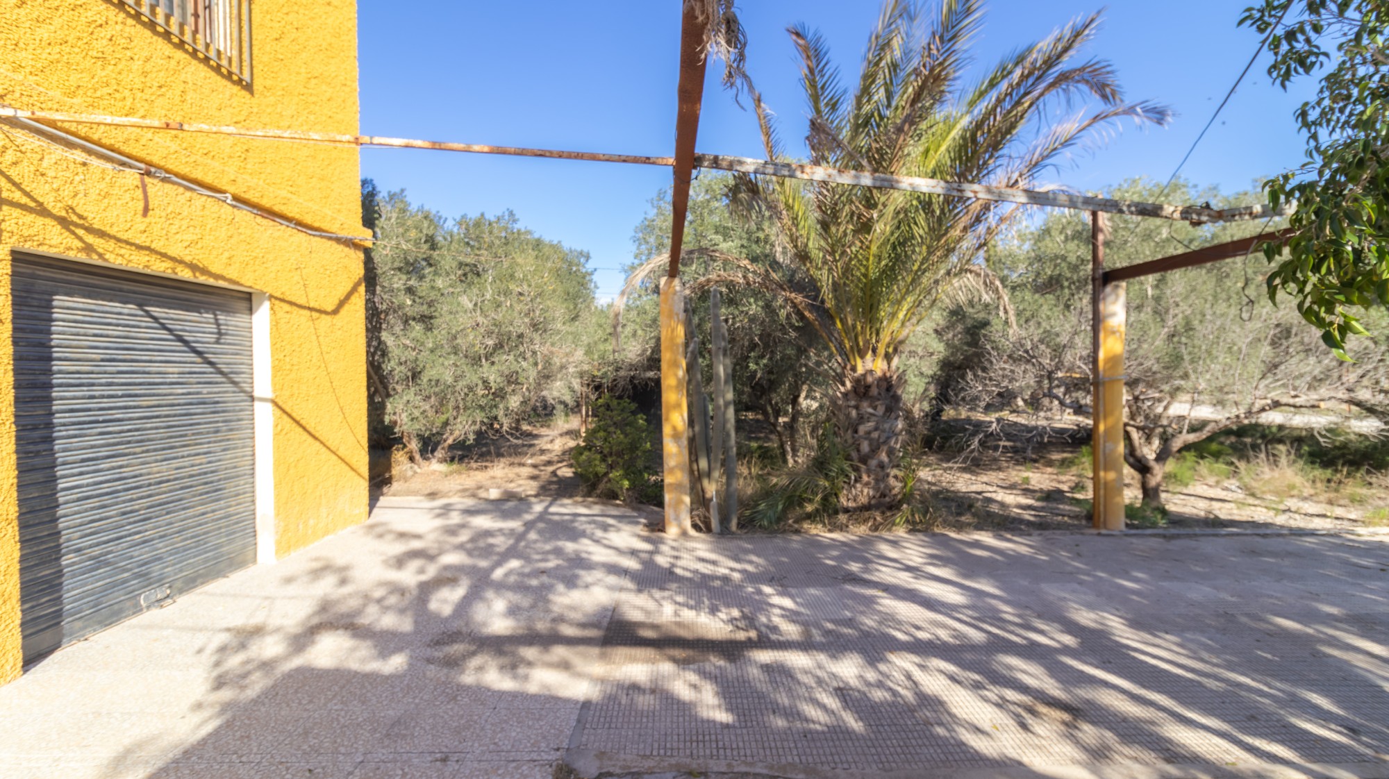 Casas o chalets-Venta-Elche-1970224-Foto-11